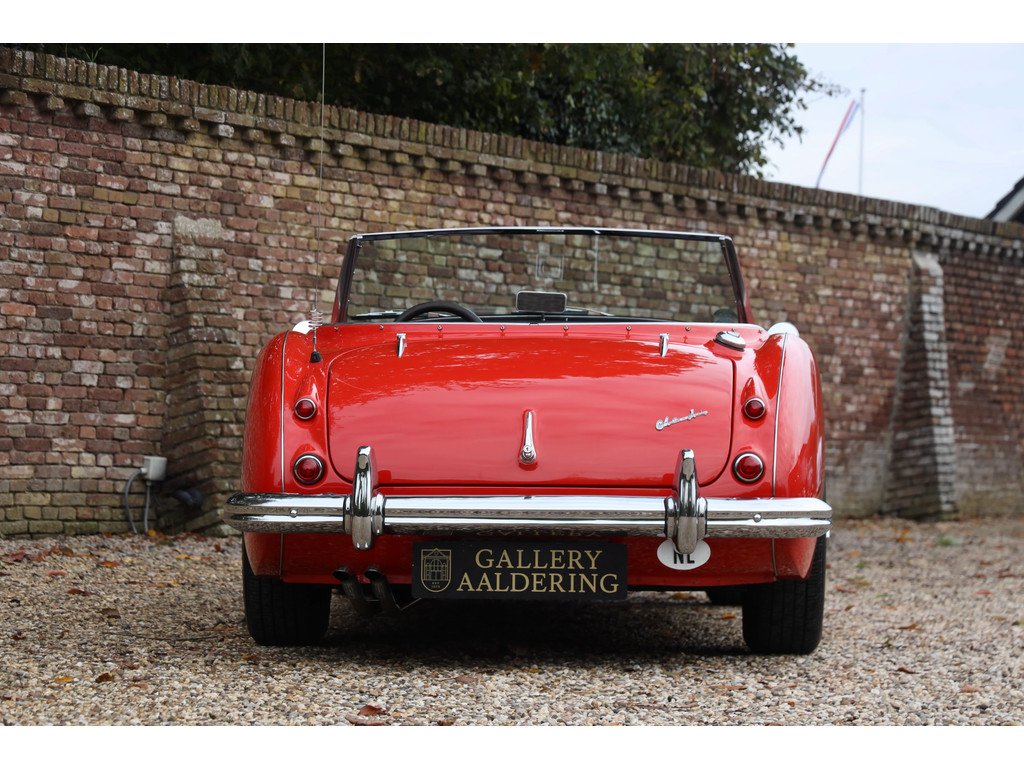 1959 Austin-Healey 100 / 6, foto 6