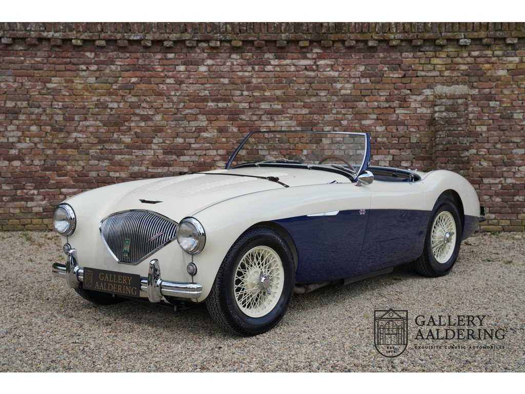 1954 Austin-Healey 100M, foto 1