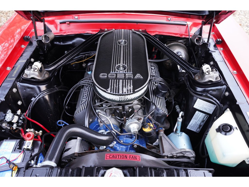 1968 Ford Mustang - Shelby GT350 PRICE REDUCTION!, foto 4