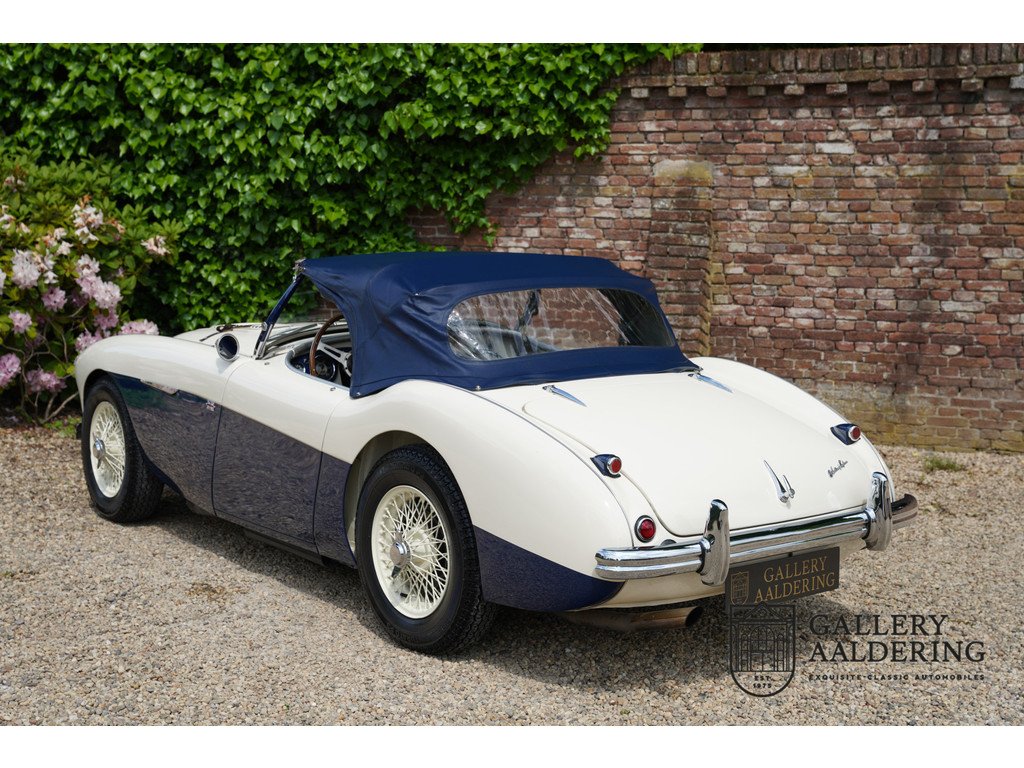 1954 Austin-Healey 100M, foto 11