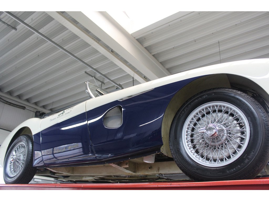1953 Austin-Healey 100 / 4, foto 12