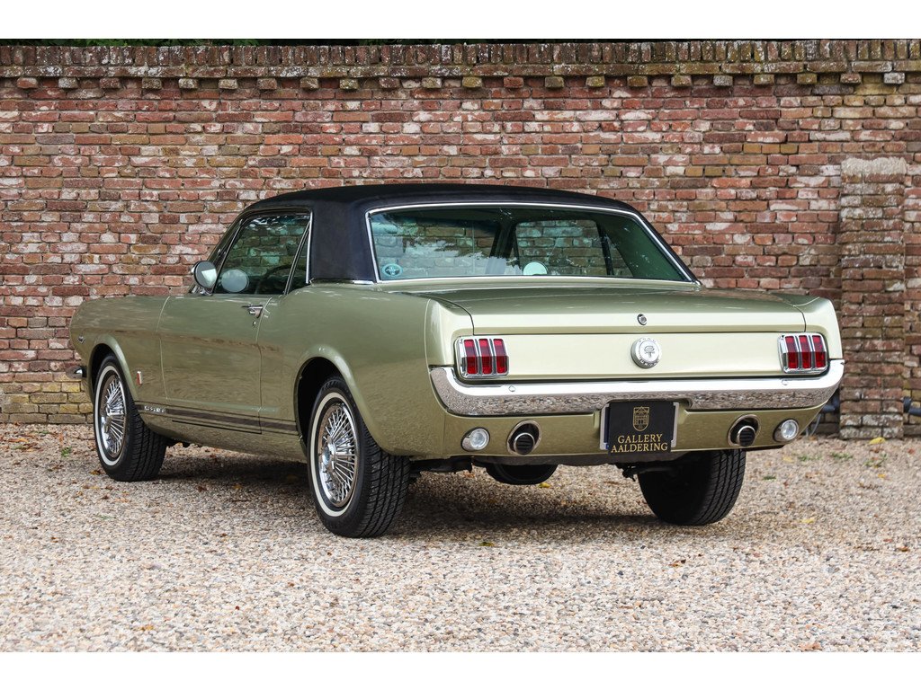 1966 Ford Mustang - GT A-Code "The Dutch most award-winning Mustang", foto 2