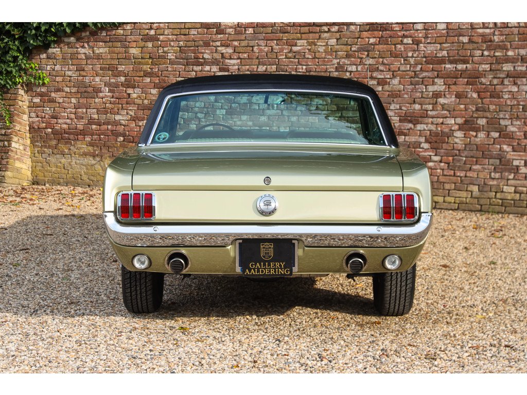 1966 Ford Mustang - GT A-Code "The Dutch most award-winning Mustang", foto 6