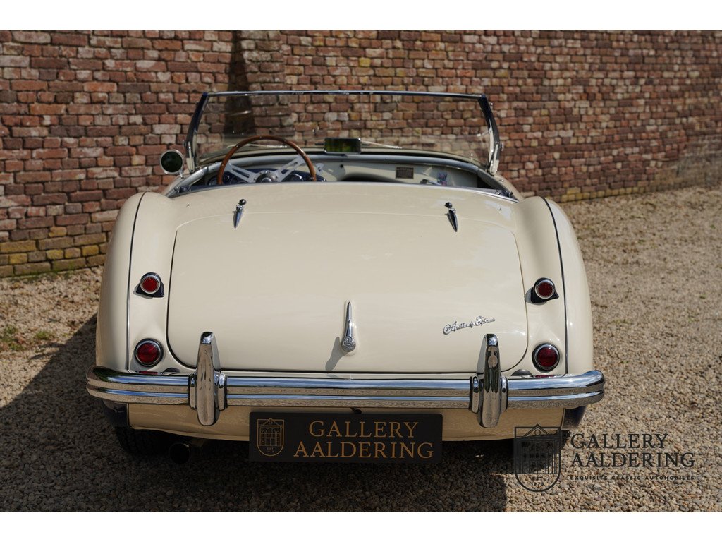 1954 Austin-Healey 100M, foto 6