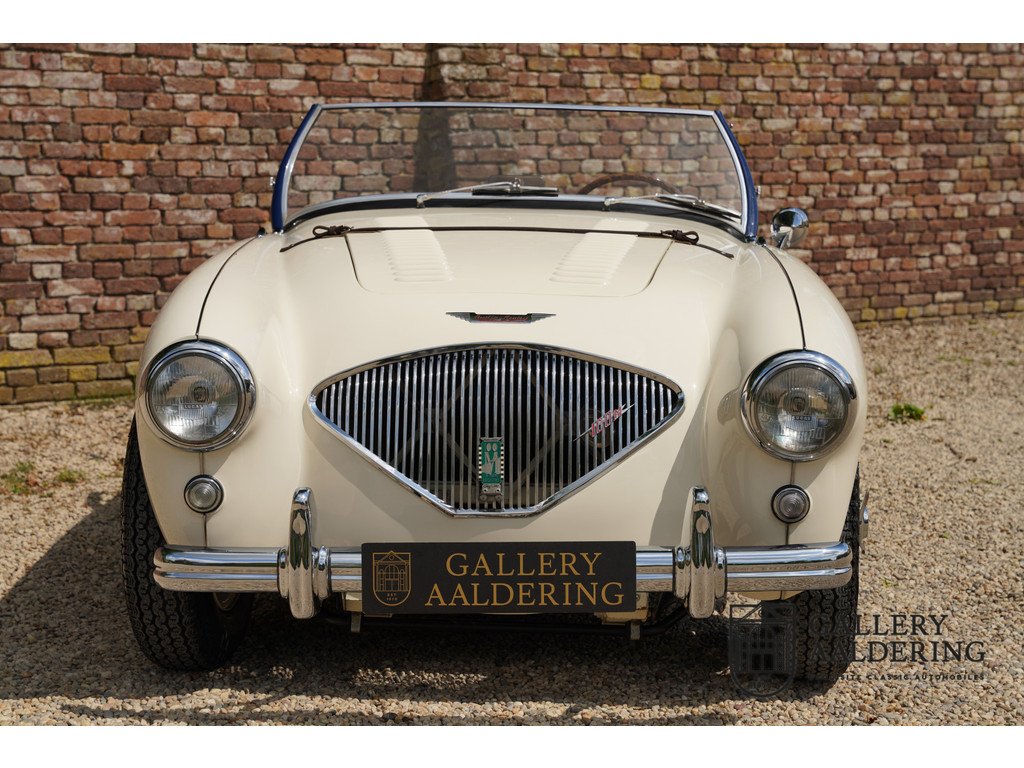 1954 Austin-Healey 100M, foto 5
