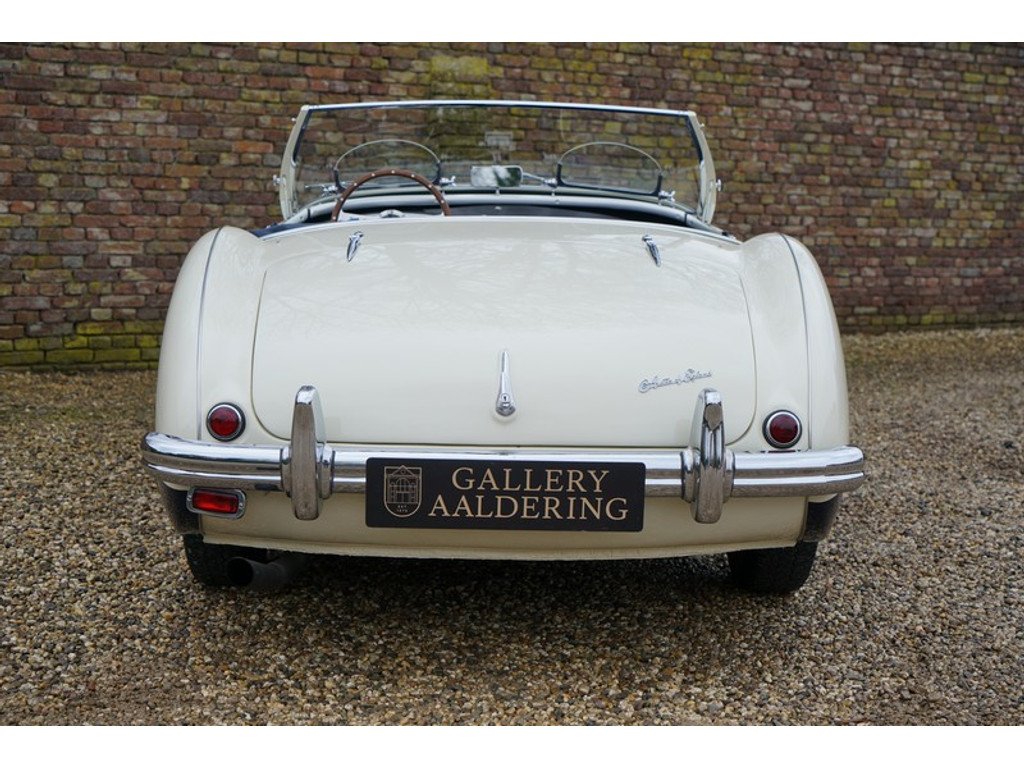 1955 Austin-Healey 100, foto 6