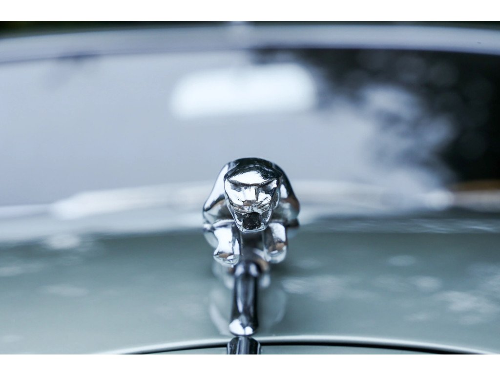 1964 Jaguar MK II, foto 10