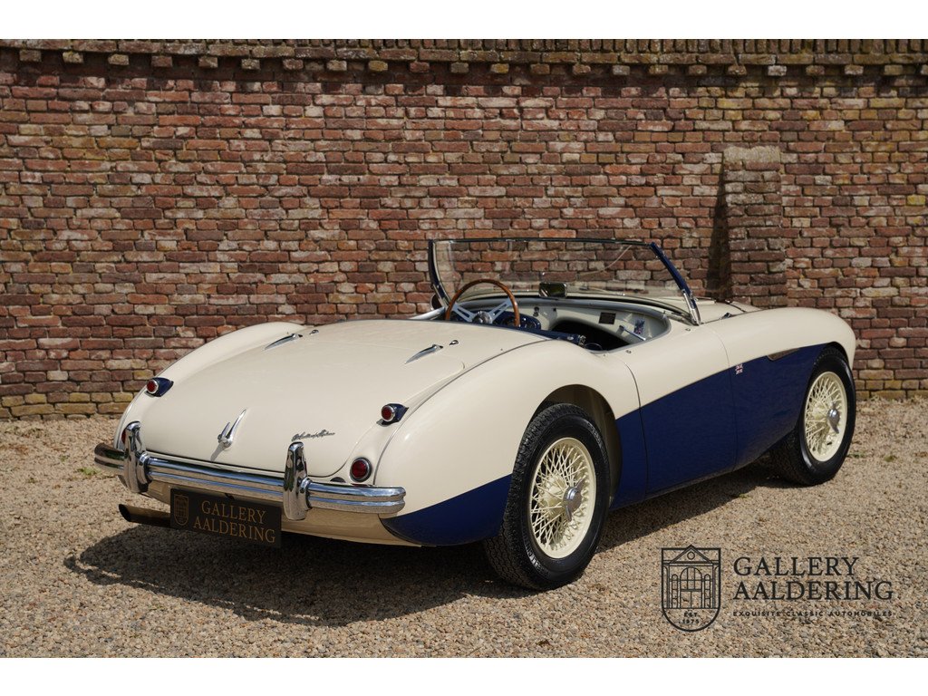 1954 Austin-Healey 100M, foto 2