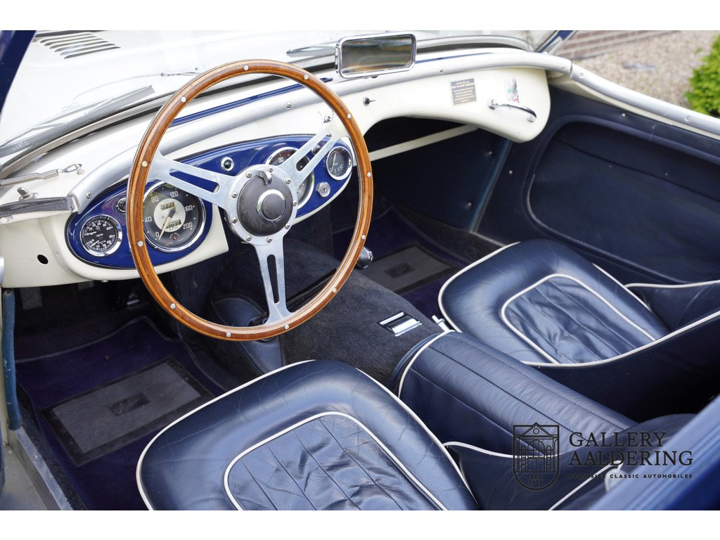 1954 Austin-Healey 100M, foto 3