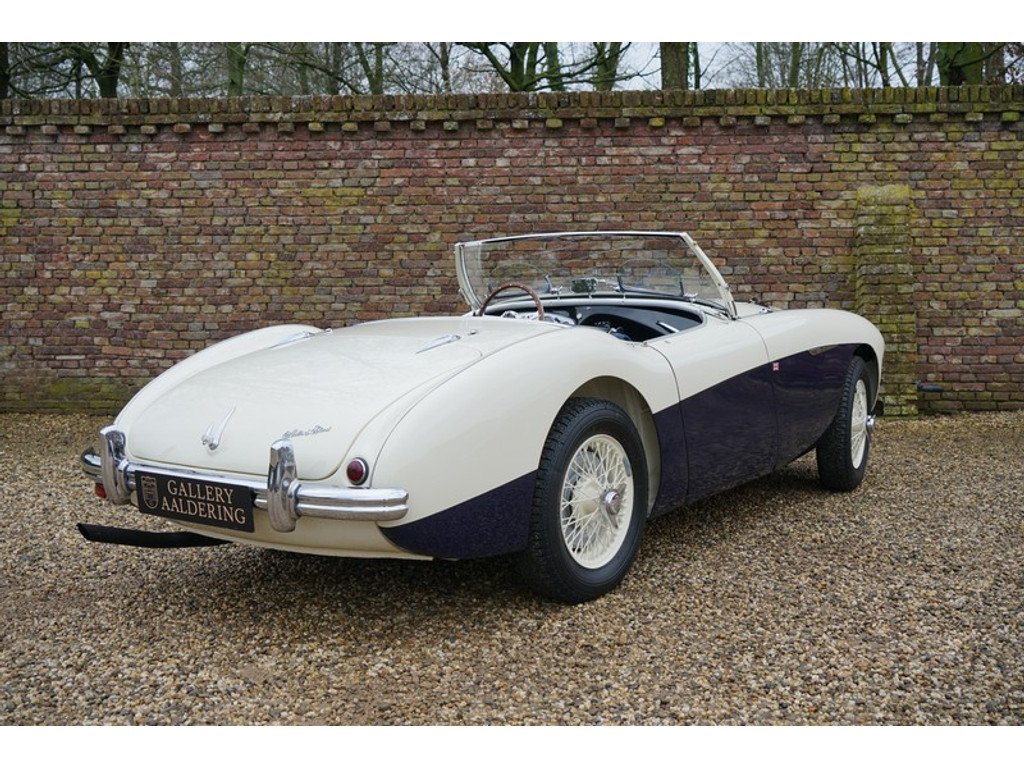 1955 Austin-Healey 100, foto 2