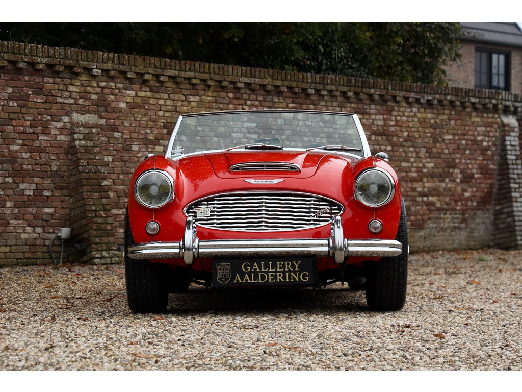 1959 Austin-Healey 100 / 6, foto 5