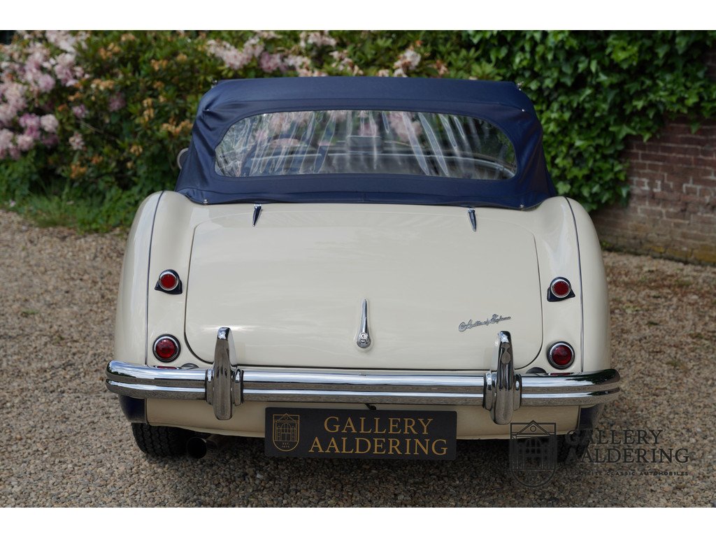 1954 Austin-Healey 100M, foto 10