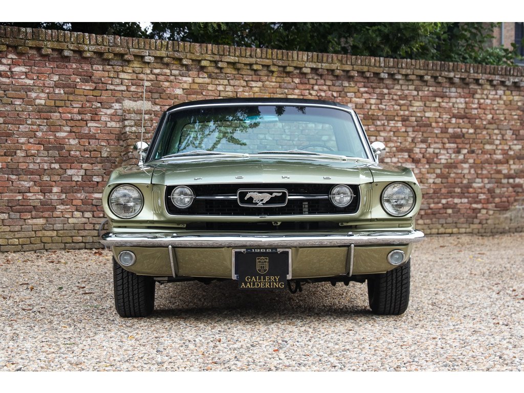 1966 Ford Mustang - GT A-Code "The Dutch most award-winning Mustang", foto 12
