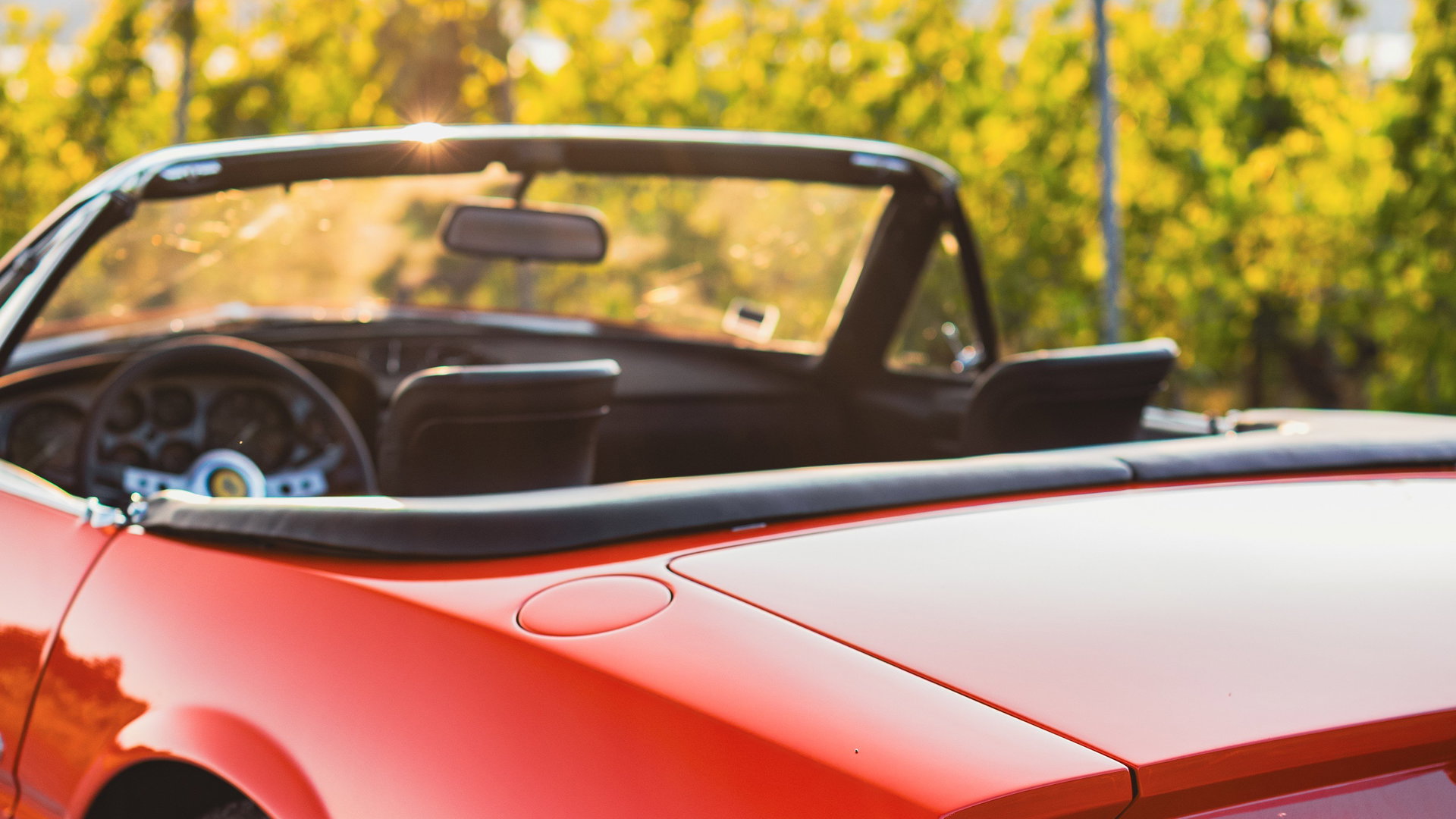 1972 Ferrari 365 - 365 GTS/4 ‘Daytona’ Spider, foto 7