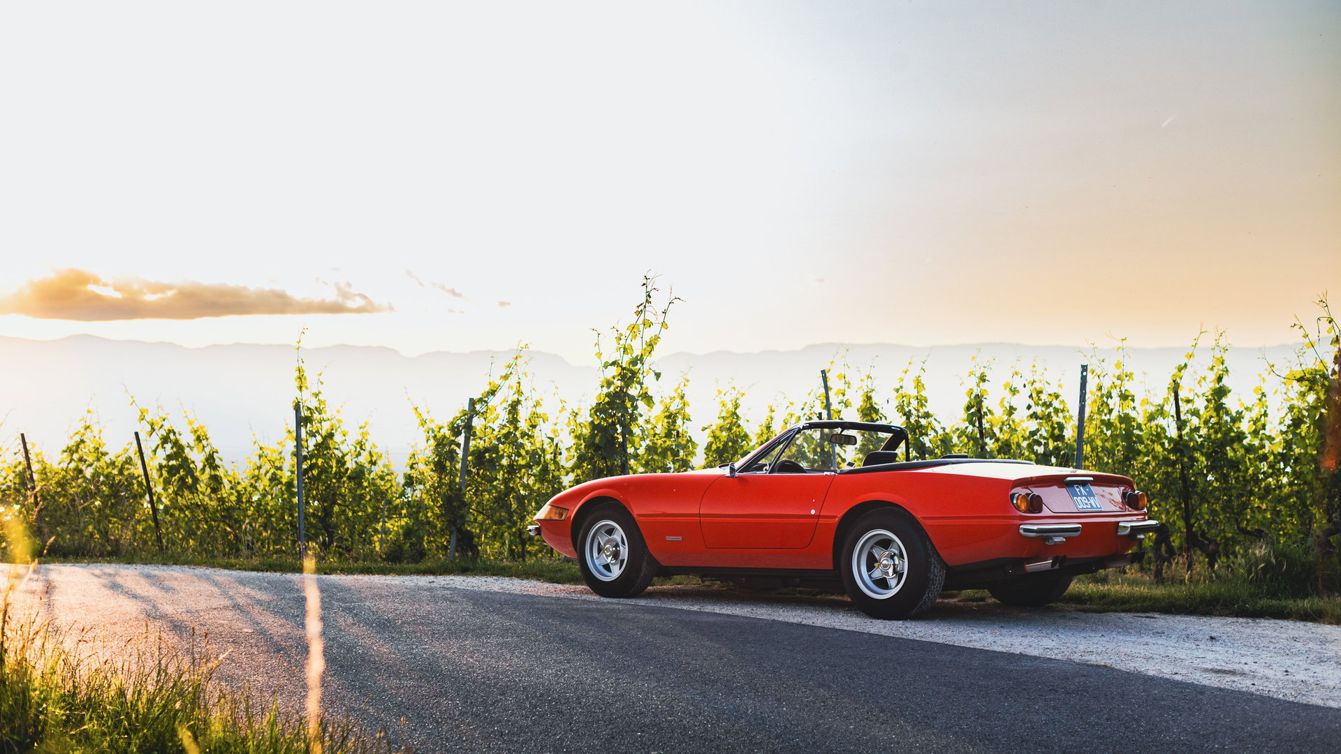 1972 Ferrari 365 - 365 GTS/4 ‘Daytona’ Spider, foto 8
