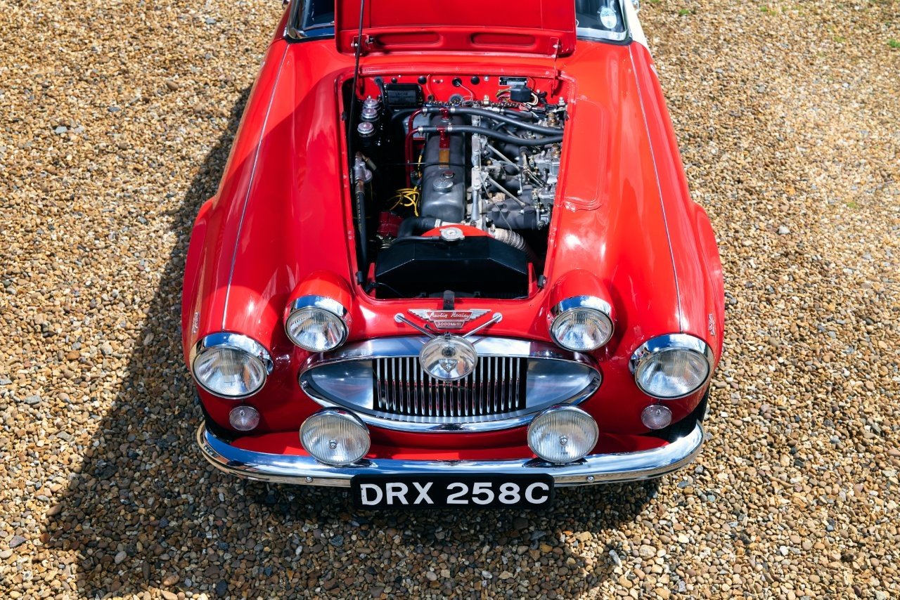 1965 Austin-Healey 3000 - MK III Works Competition Car 'DRX 258C', foto 2