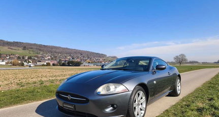 31825-1104161-car-20260330_154542-1_jaguar_xk_4.2_v8_vorne.jpeg
