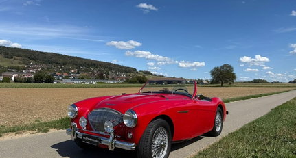 Austin-Healey 100 / 4
