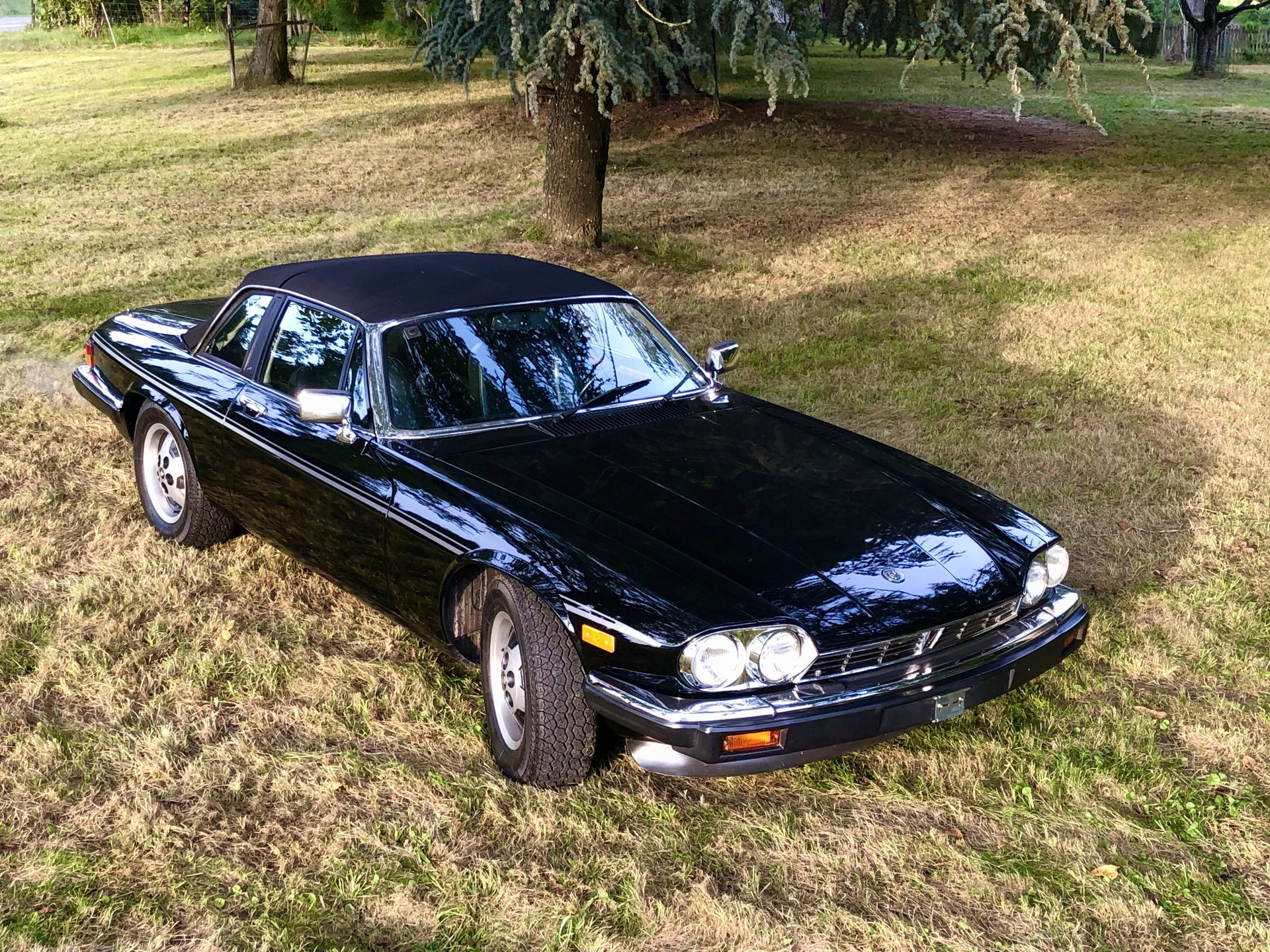 1985 Jaguar XJS - SC, foto 3