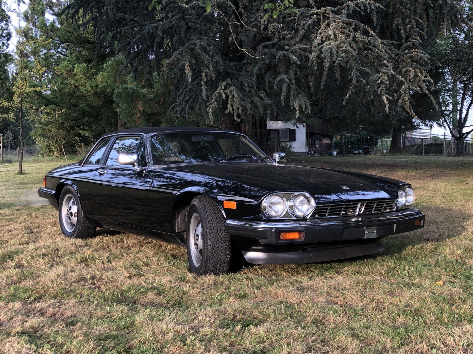 1985 Jaguar XJS - SC, foto 5