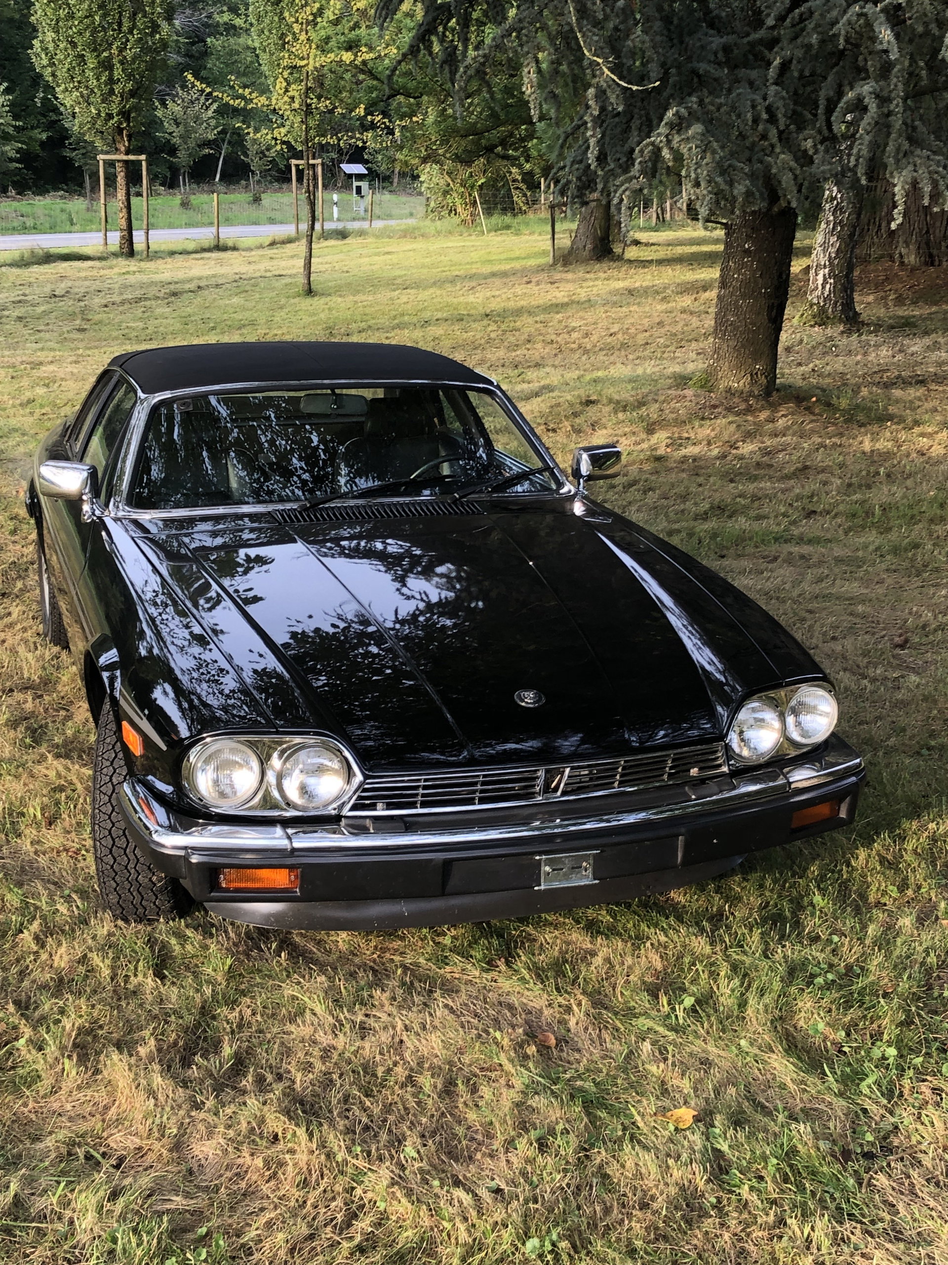 1985 Jaguar XJS - SC, foto 4