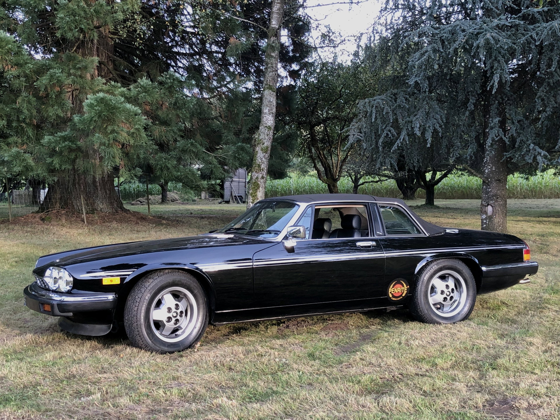 1985 Jaguar XJS - SC, foto 2