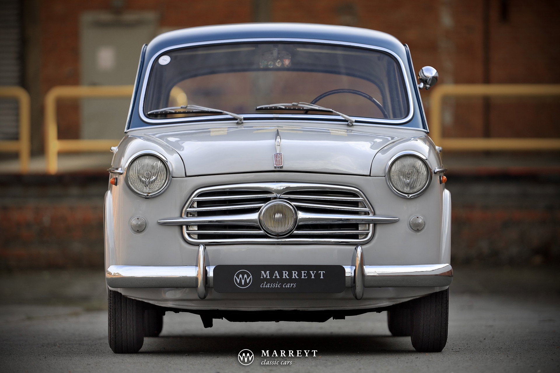 1954 Fiat 1100 - Tipo 103 TV - Ex Mille Miglia 1954 & 1955, foto 12