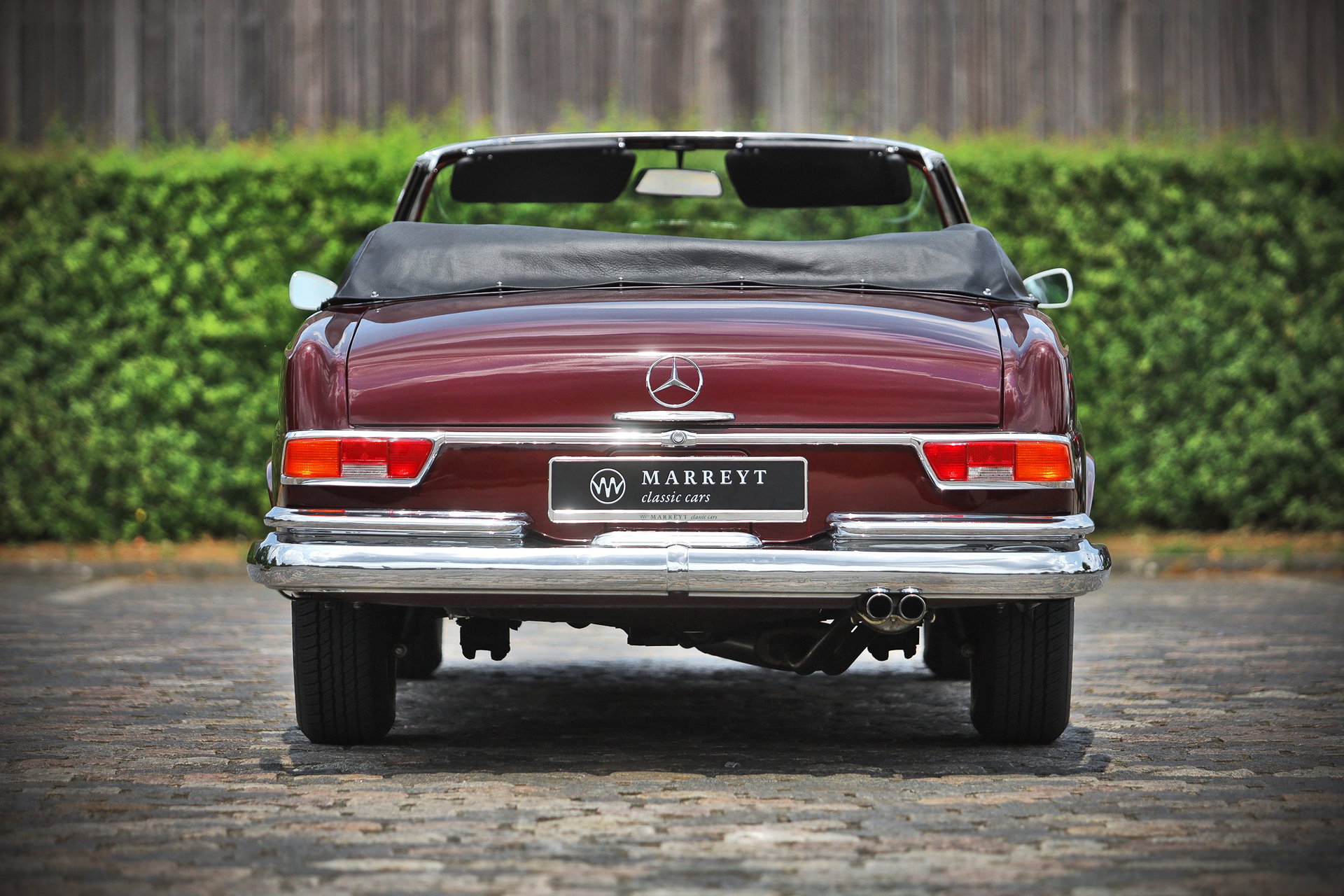 1961 Mercedes-Benz S-Class W111/112 - 220SE Cabriolet, foto 4
