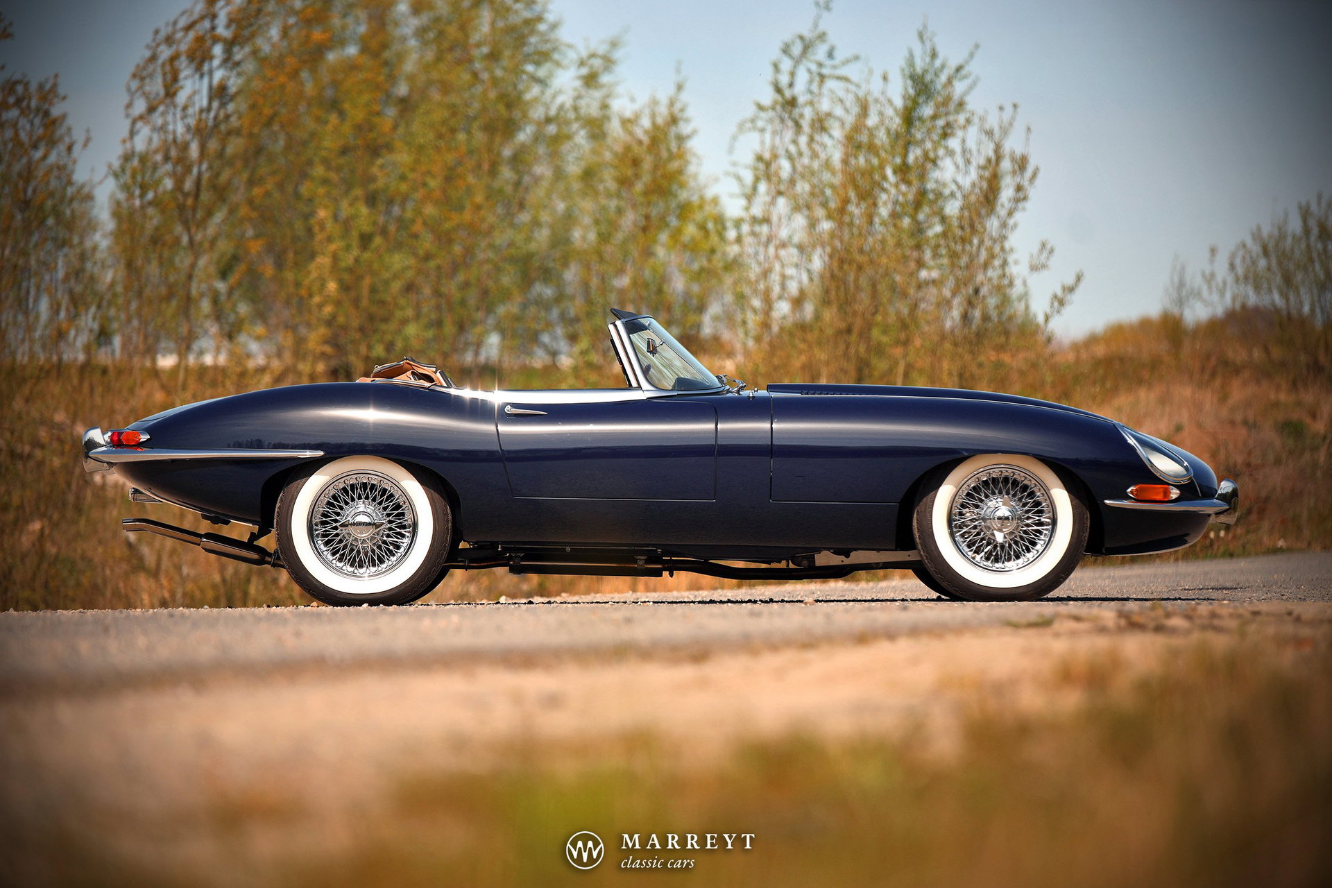 1966 Jaguar E-Type SI - S1 Roadster, foto 7