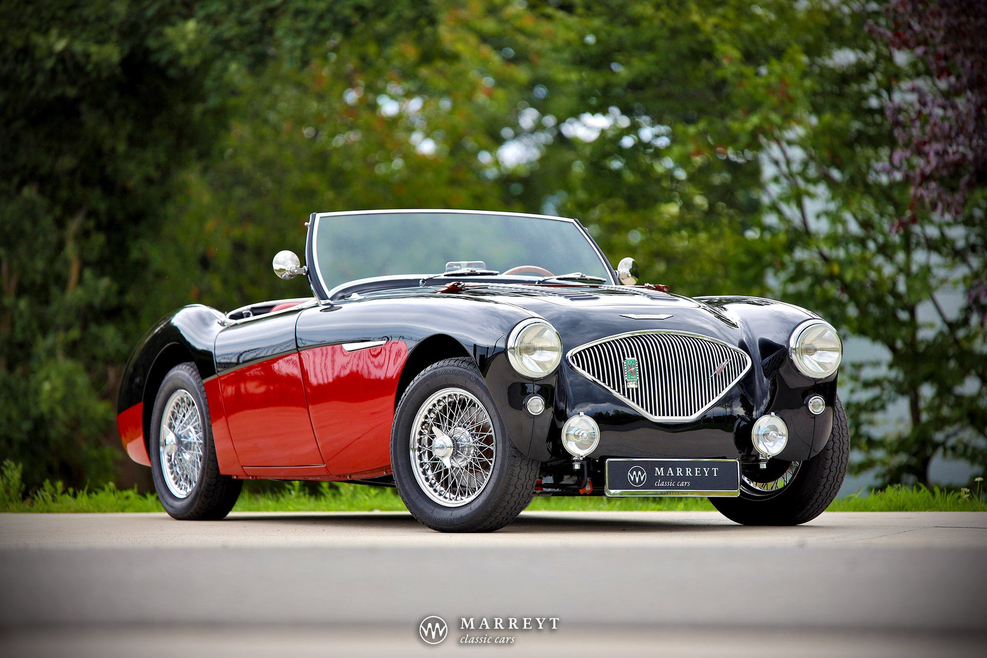 1955 Austin-Healey 100 / 4 - BN2 'Le Mans' kit, foto 1