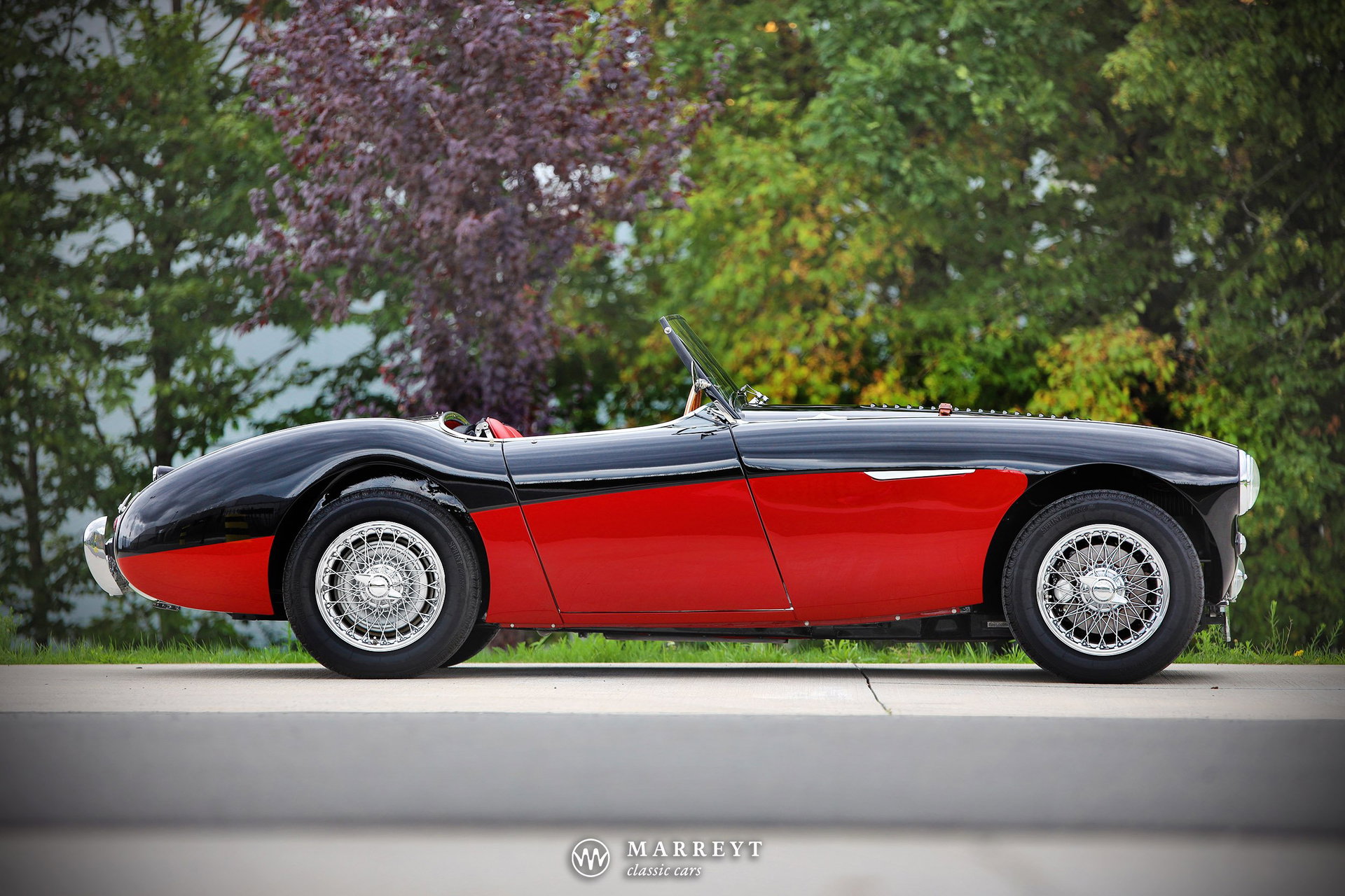 1955 Austin-Healey 100 / 4 - BN2 'Le Mans' kit, foto 2