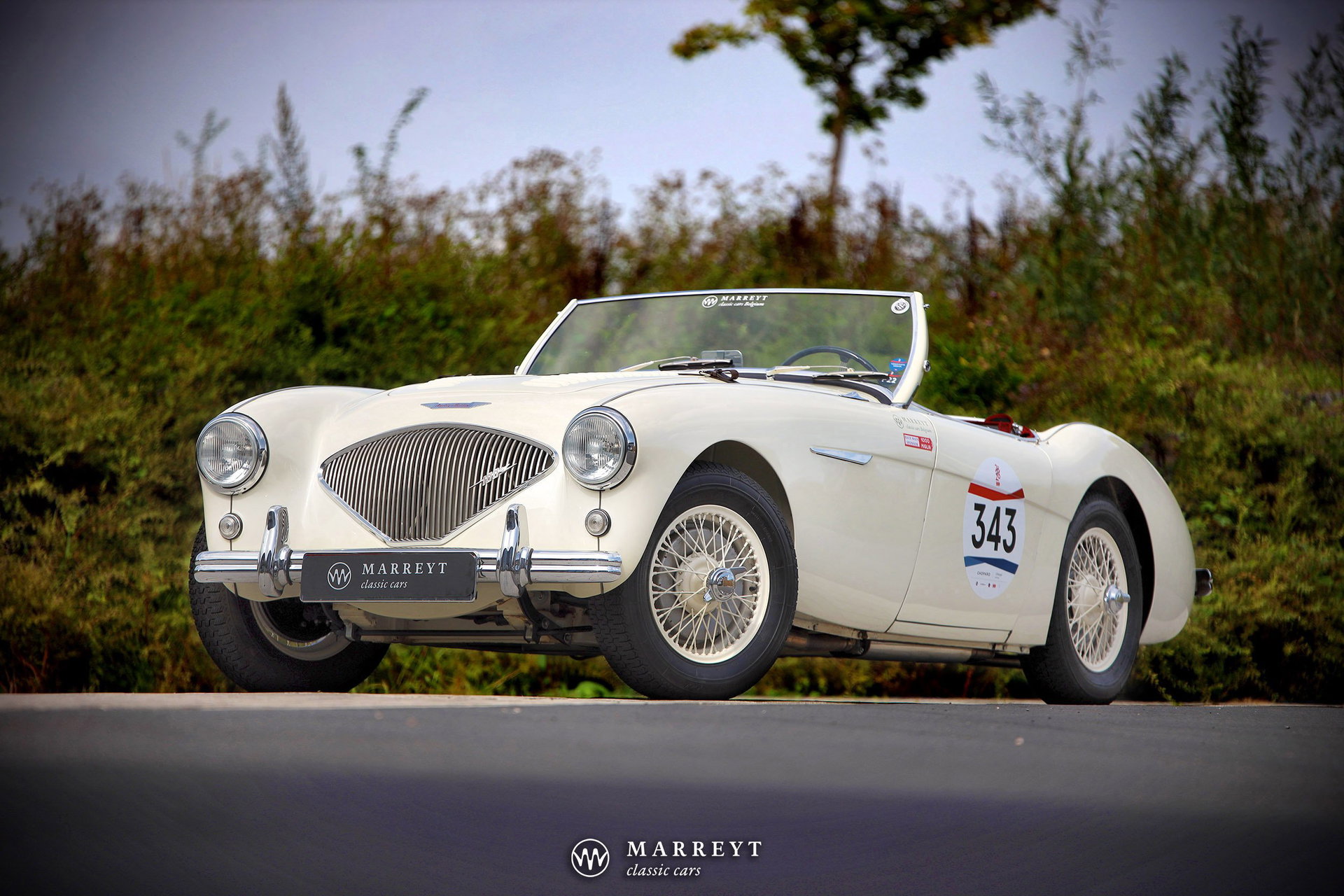 1955 Austin-Healey 100M - Factory Le Mans (1000 Miglia Participant '26), foto 3