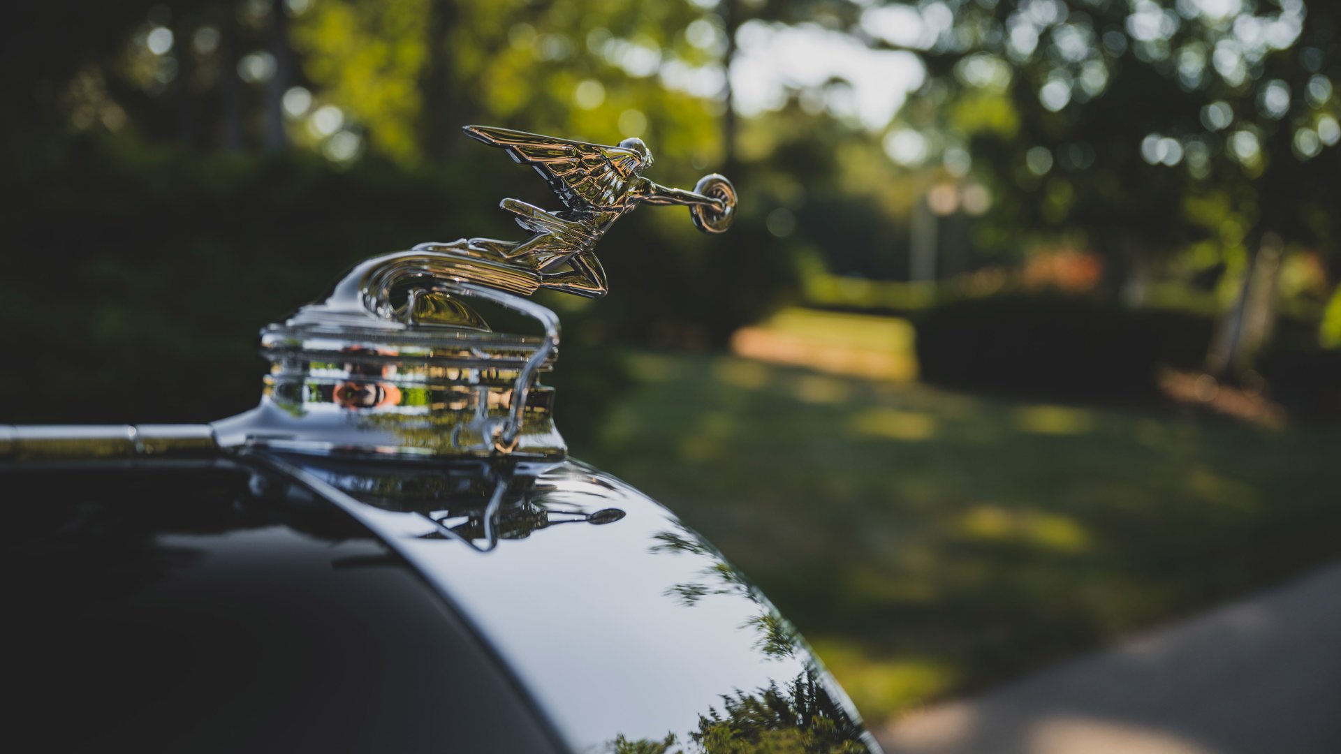 1930 Packard 745 - 745 Deluxe Eight Roadster, foto 12
