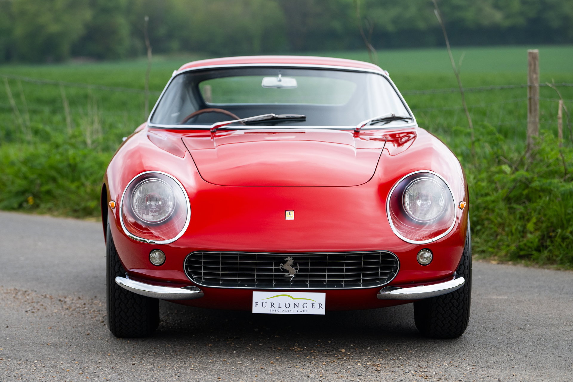 1965 Ferrari 275 - 6C, foto 3
