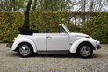 Volkswagen 1303 Cabriolet (1979)