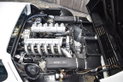 Ferrari 512 BBi (1982) Bianco FER100