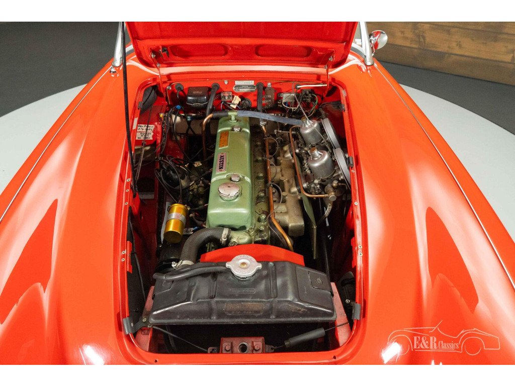 1958 Austin-Healey 100 - Cabriolet | 1958, foto 5