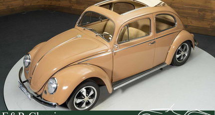 1957 VW Käfer - Ragtop | 1957