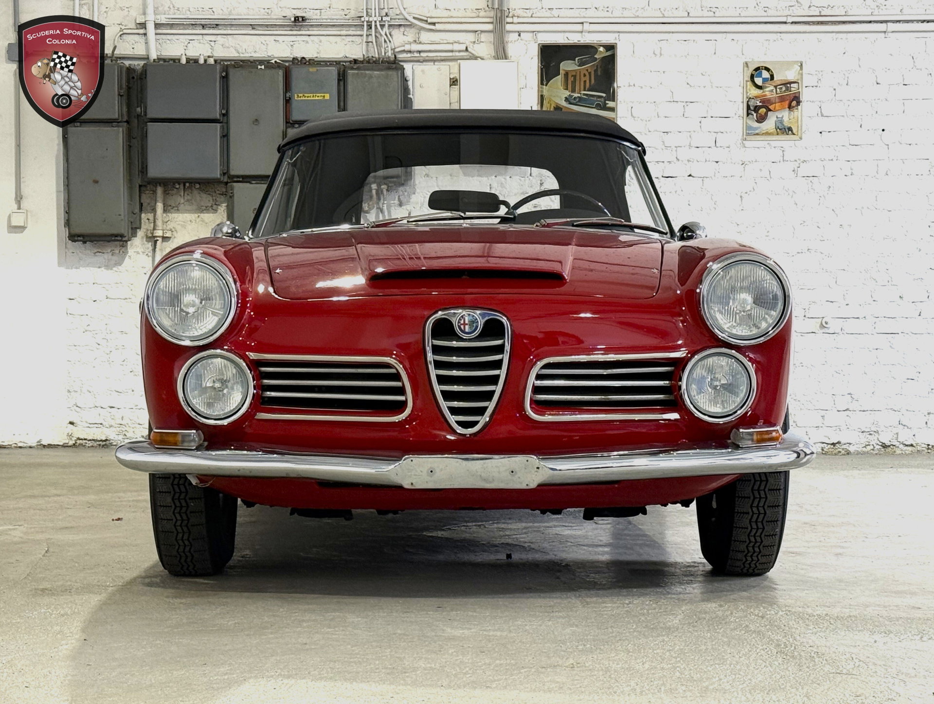 1964 Alfa Romeo 2600 - 2600 Touring Spider, foto 3