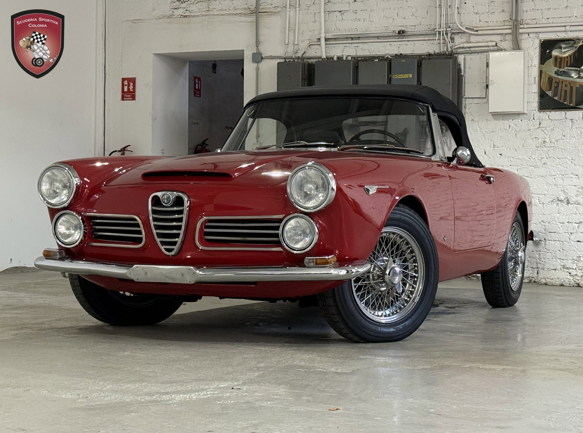 1964 Alfa Romeo 2600 - 2600 Touring Spider, foto 4