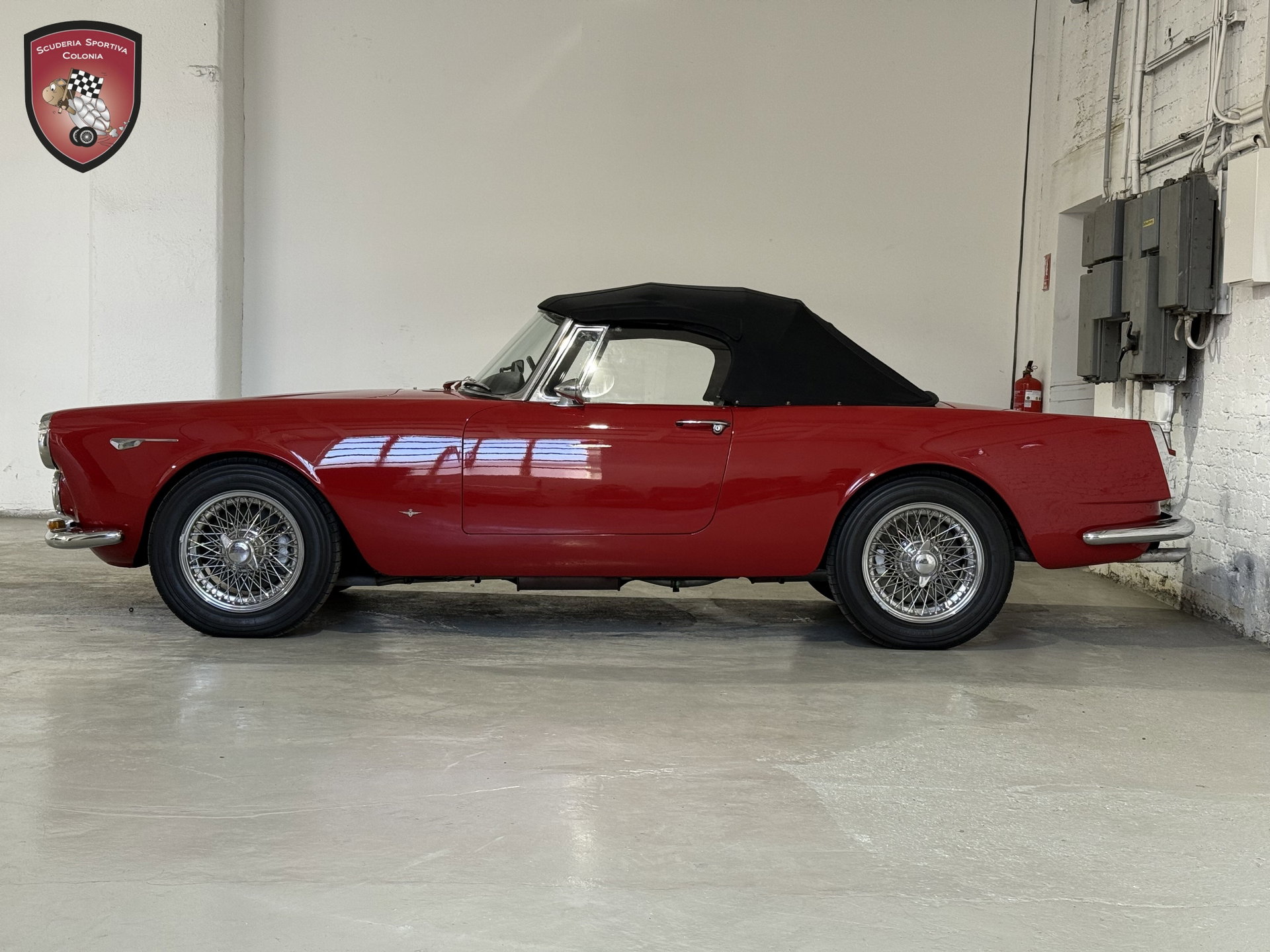 1964 Alfa Romeo 2600 - 2600 Touring Spider, foto 9