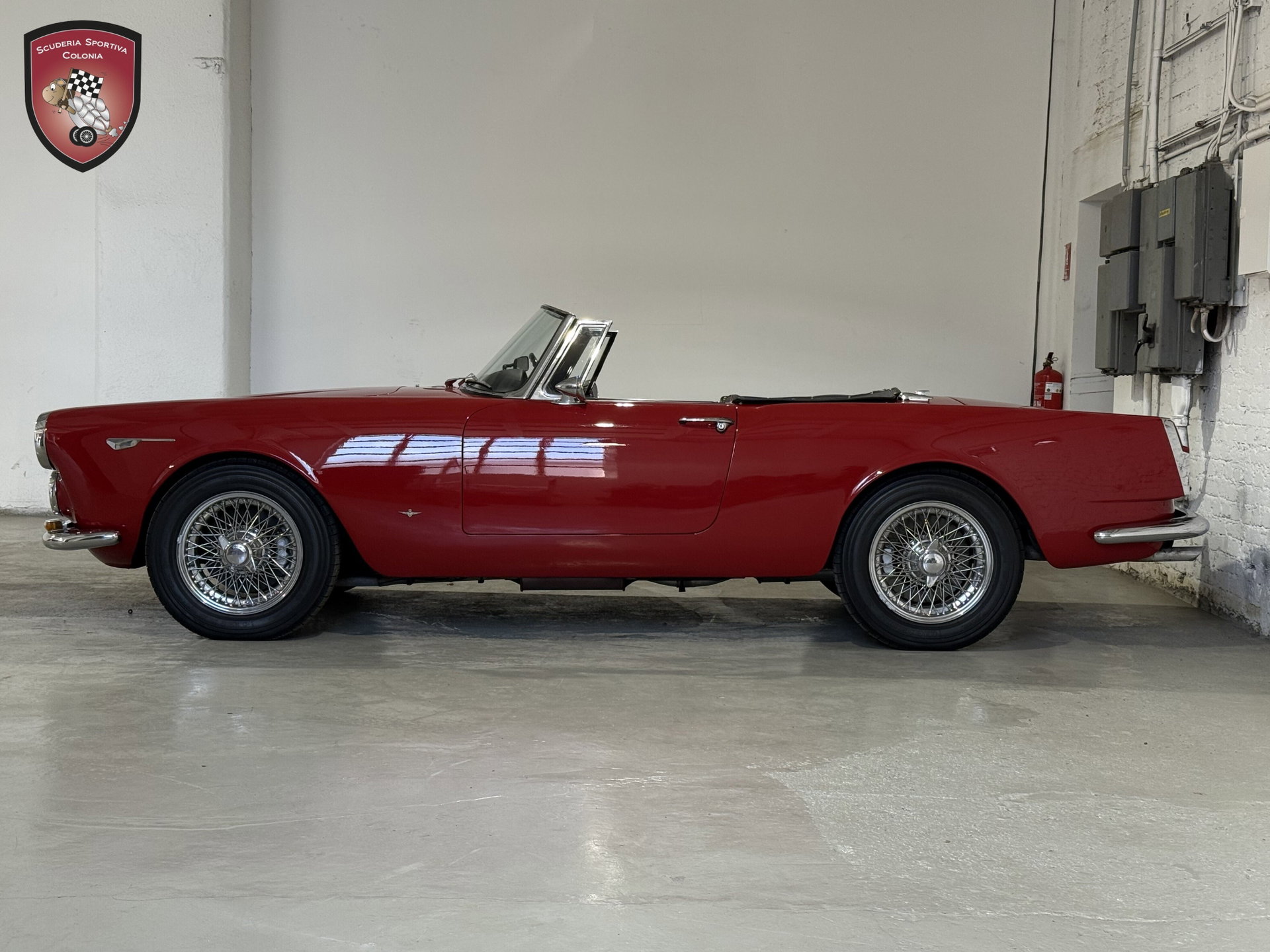 1964 Alfa Romeo 2600 - 2600 Touring Spider, foto 10