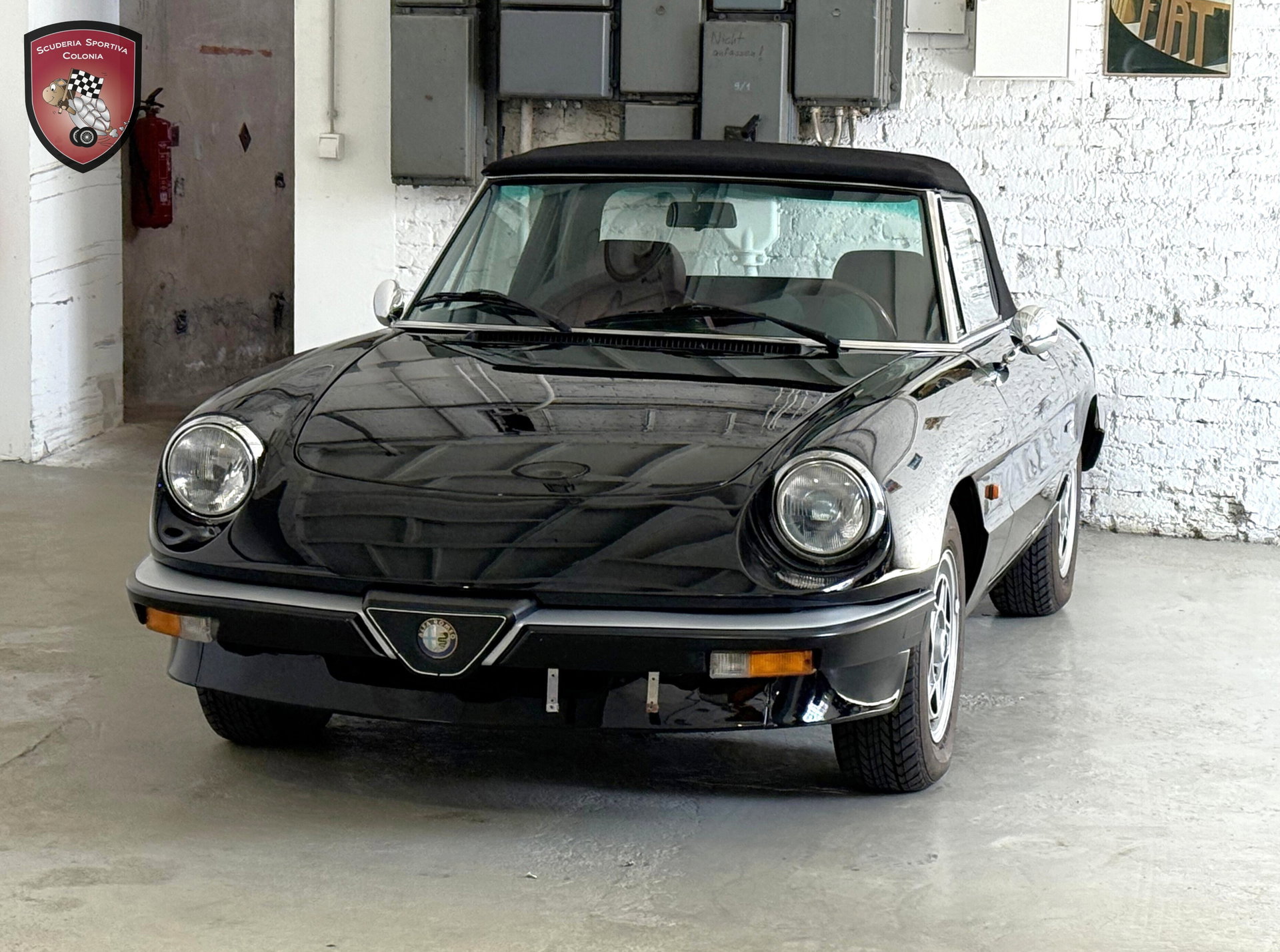 1985 Alfa Romeo Spider - Serial 3 Zender, foto 10