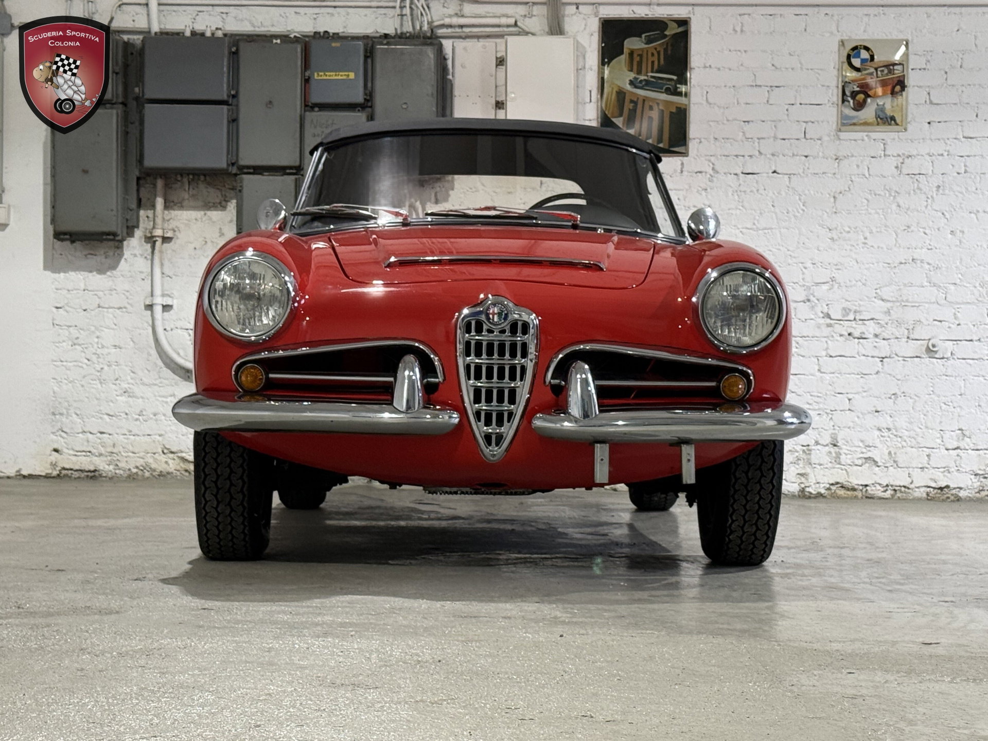 1966 Alfa Romeo Giulia - Spider Veloce, foto 2