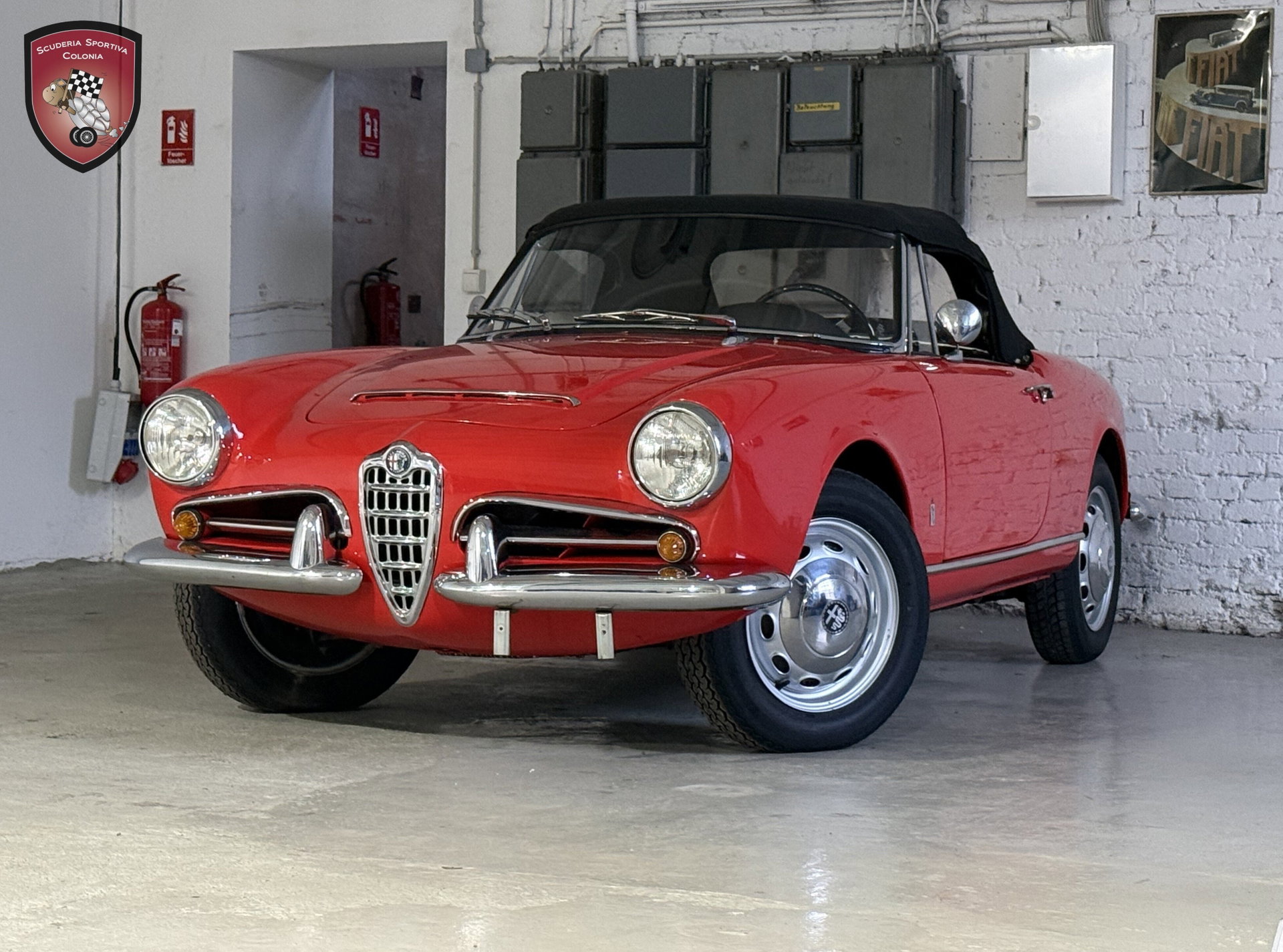 1966 Alfa Romeo Giulia - Spider Veloce, foto 3