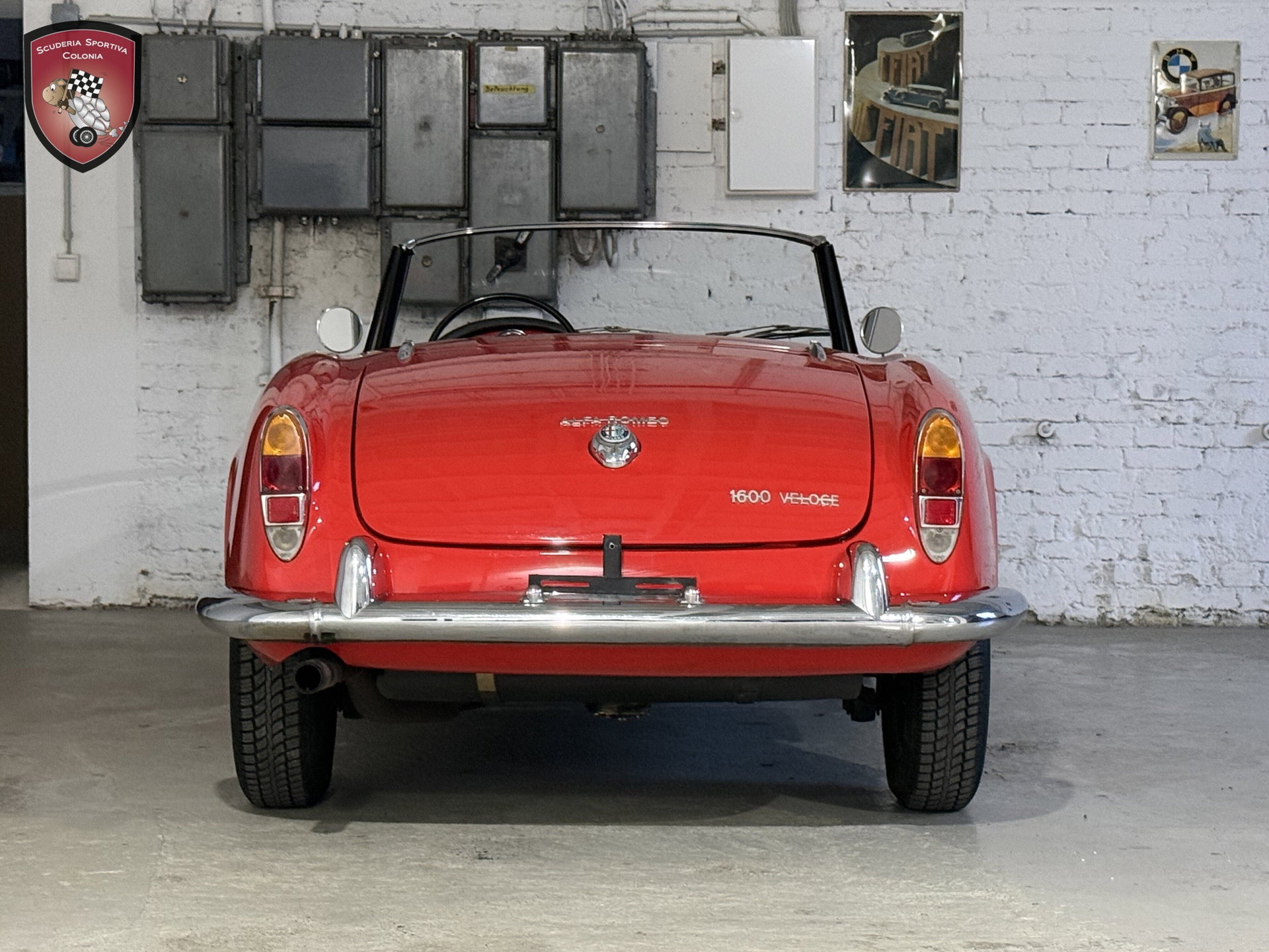 1966 Alfa Romeo Giulia - Spider Veloce, foto 4