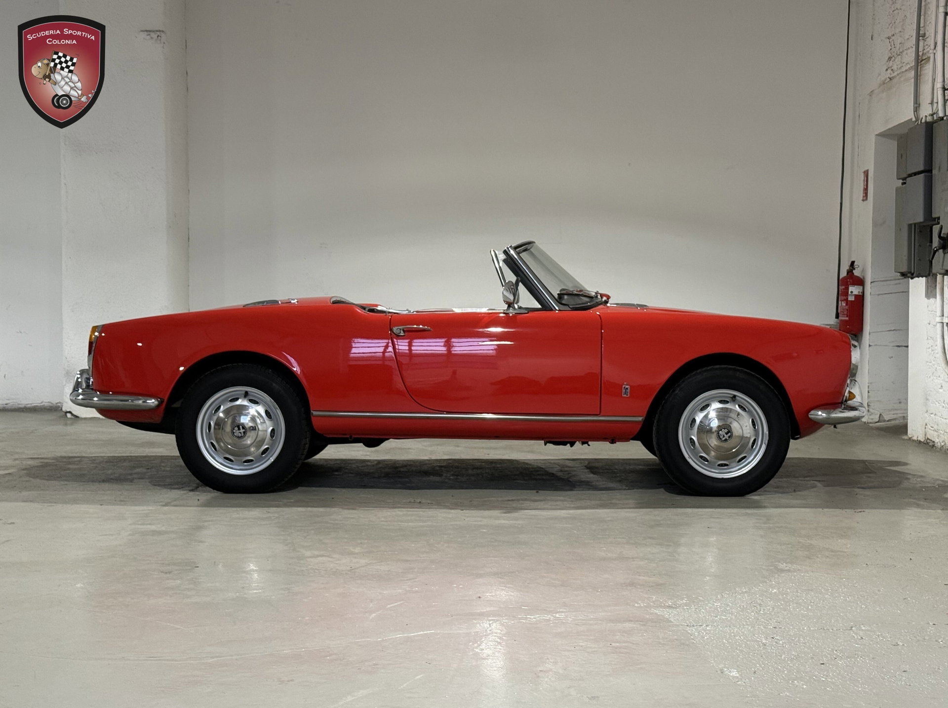 1966 Alfa Romeo Giulia - Spider Veloce, foto 6