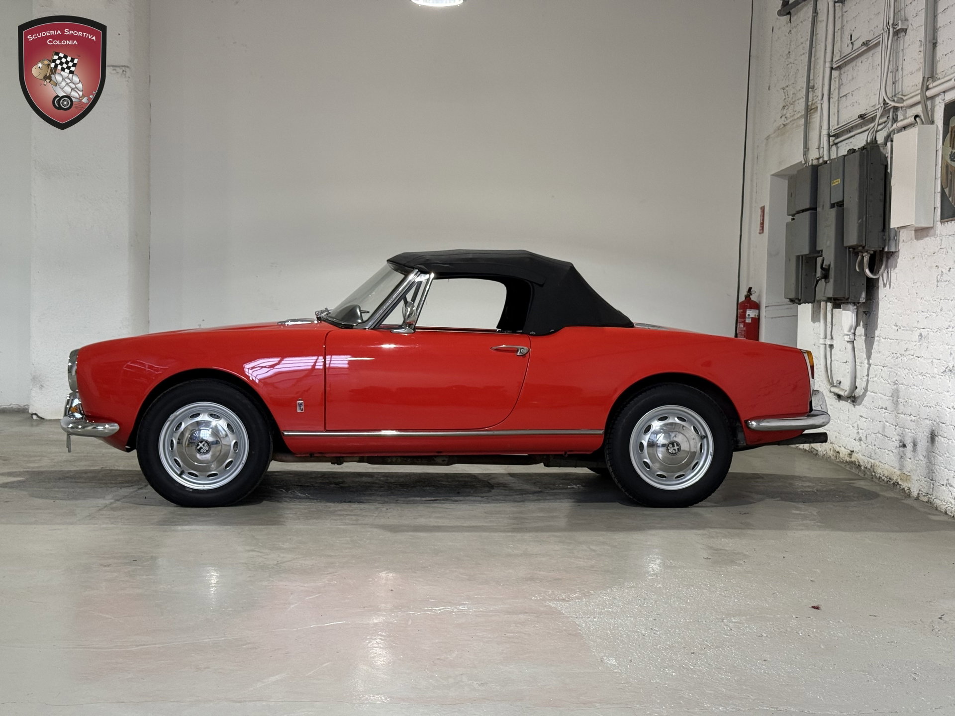 1966 Alfa Romeo Giulia - Spider Veloce, foto 7