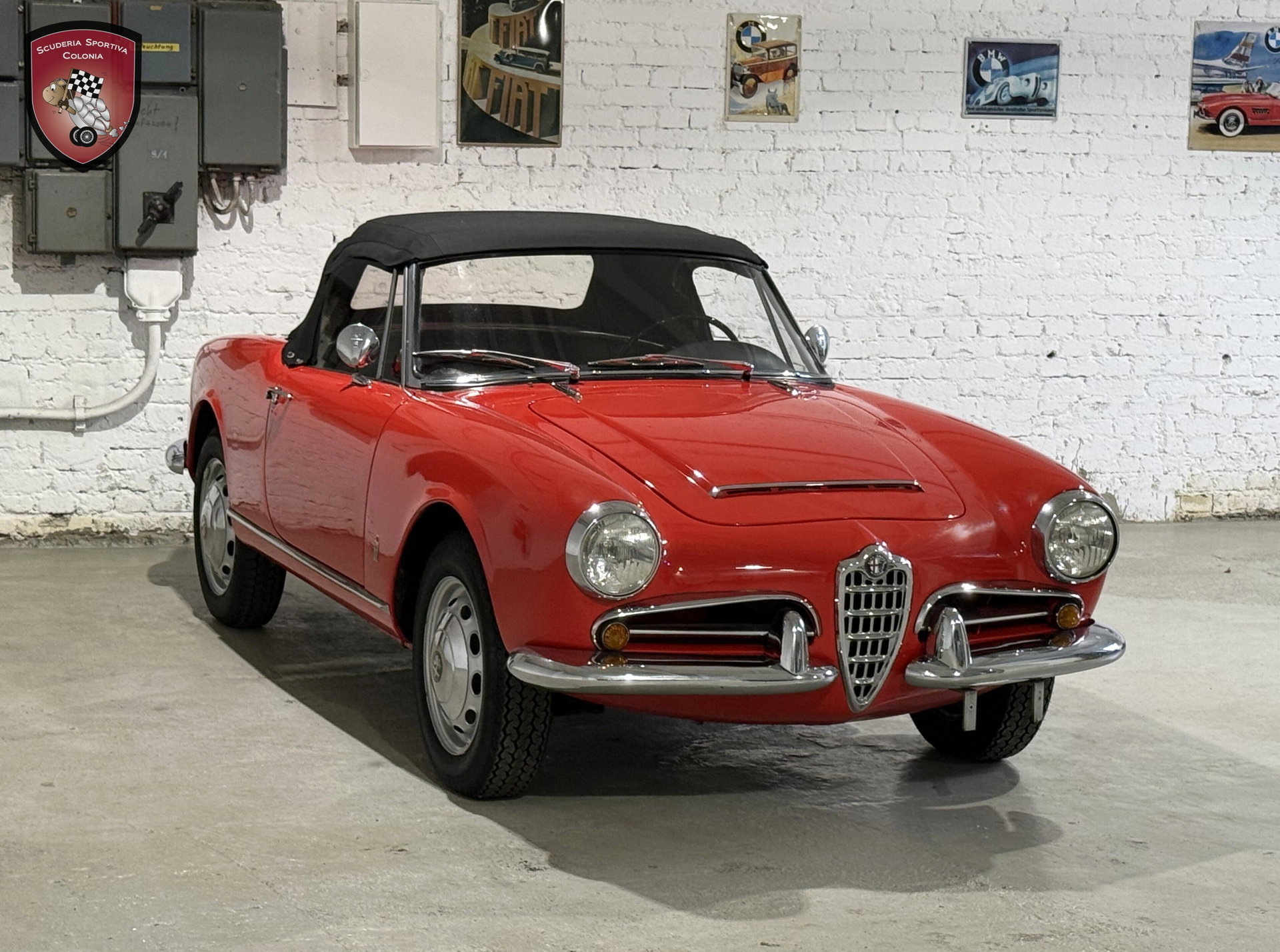 1966 Alfa Romeo Giulia - Spider Veloce, foto 8