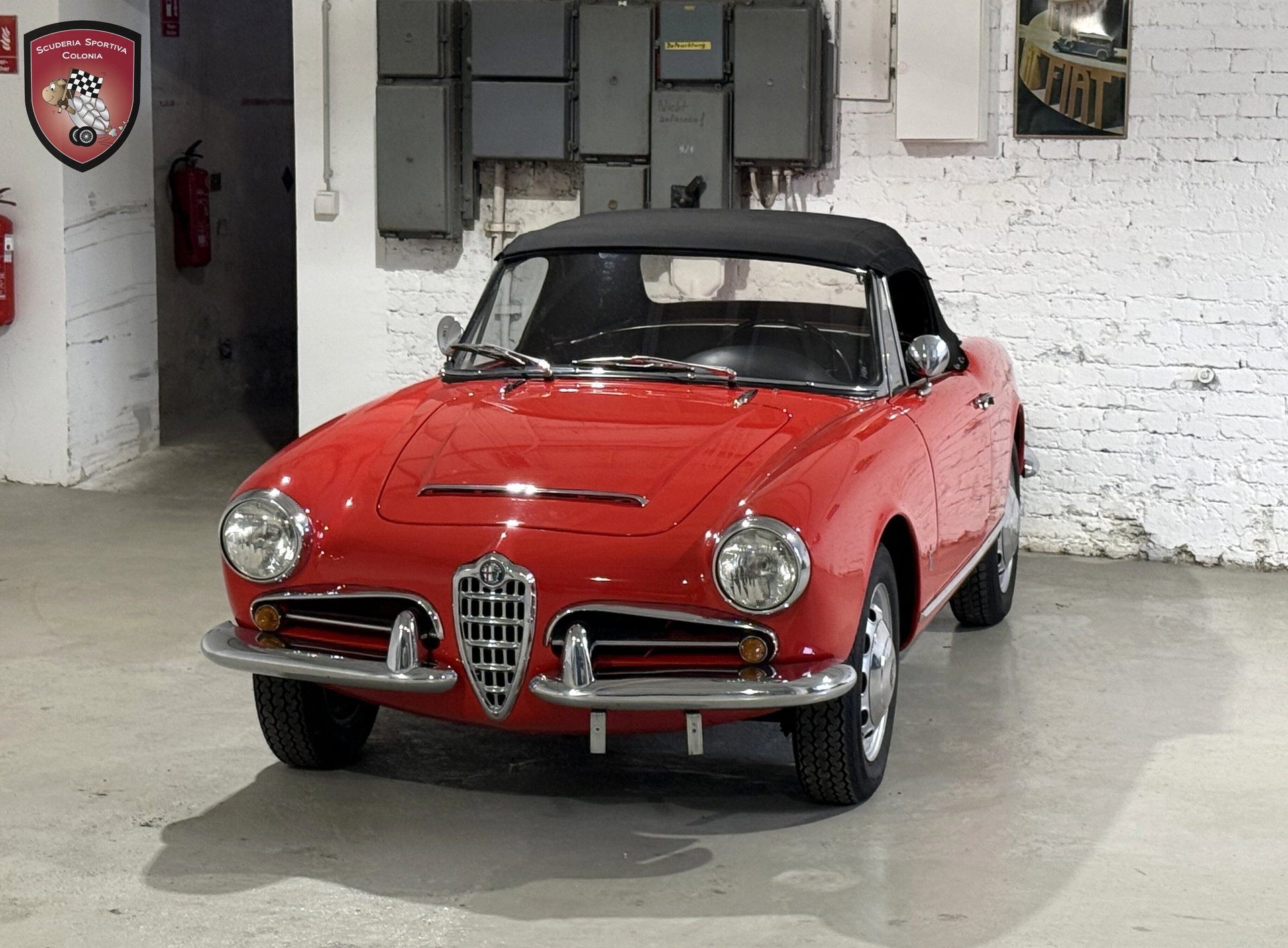 1966 Alfa Romeo Giulia - Spider Veloce, foto 9